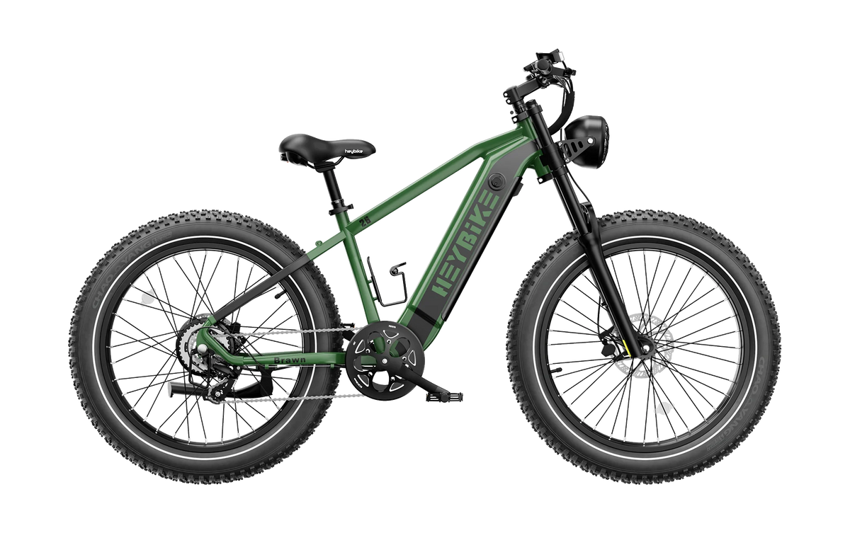 Heybike Brawn Ultra High-Performance Electric Fat MTB E-Bike – House of  Bikes