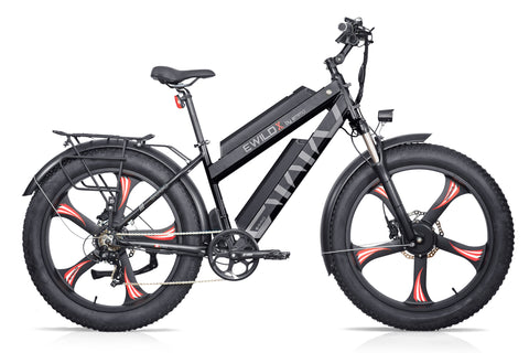 Dual motor clearance fat bike