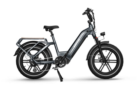 Himiway-Big-Dog-Electric-Cargo-Commuter-E-Bike-Right-Side