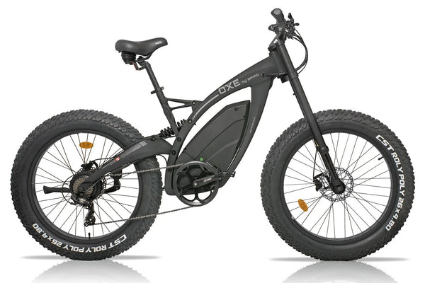 Polygon fatbike best sale