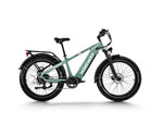 himiway-d5-zebra-step-over-MTB-ebike-mint-green-right-side