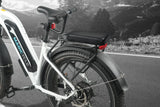 magicycle-passenger-kit-handlebar-seat-foot-rests-2